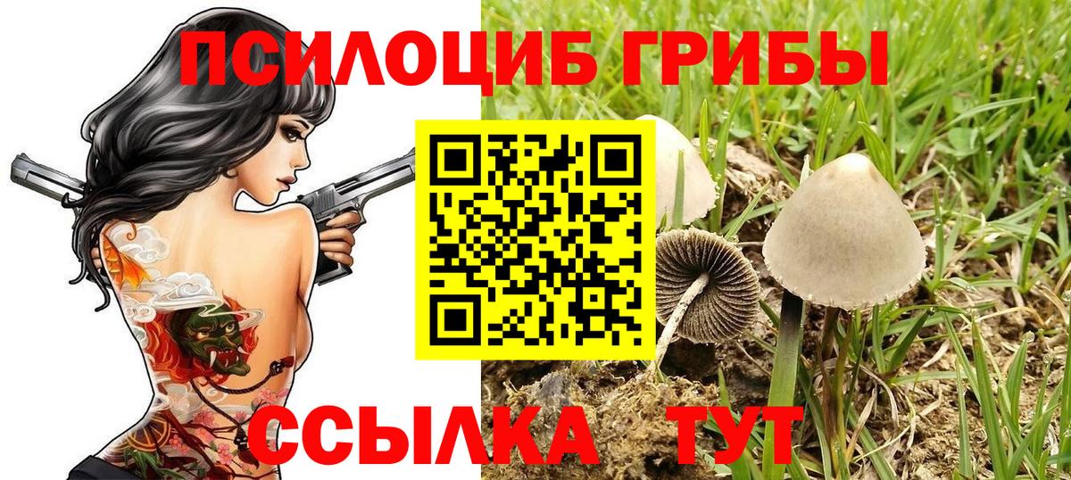 ГАШ Качканар