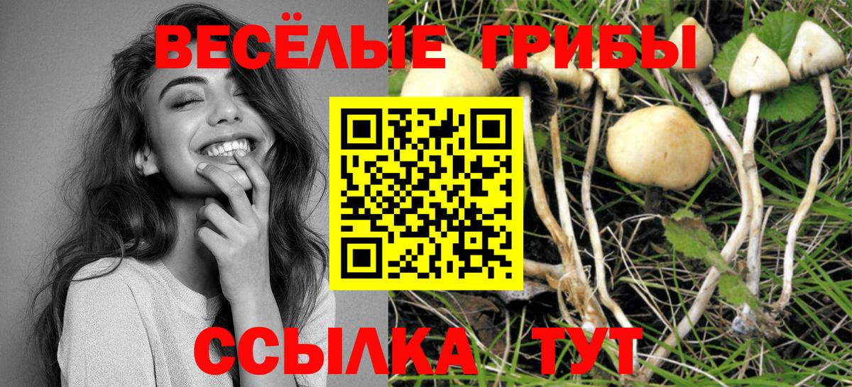 Псилоцибиновые грибы мухоморы  Вход с VPN  Качканар 