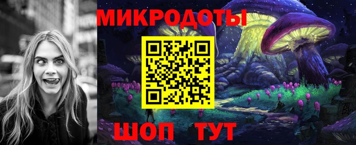 Псилоцибиновые грибы Psilocybe Качканар
